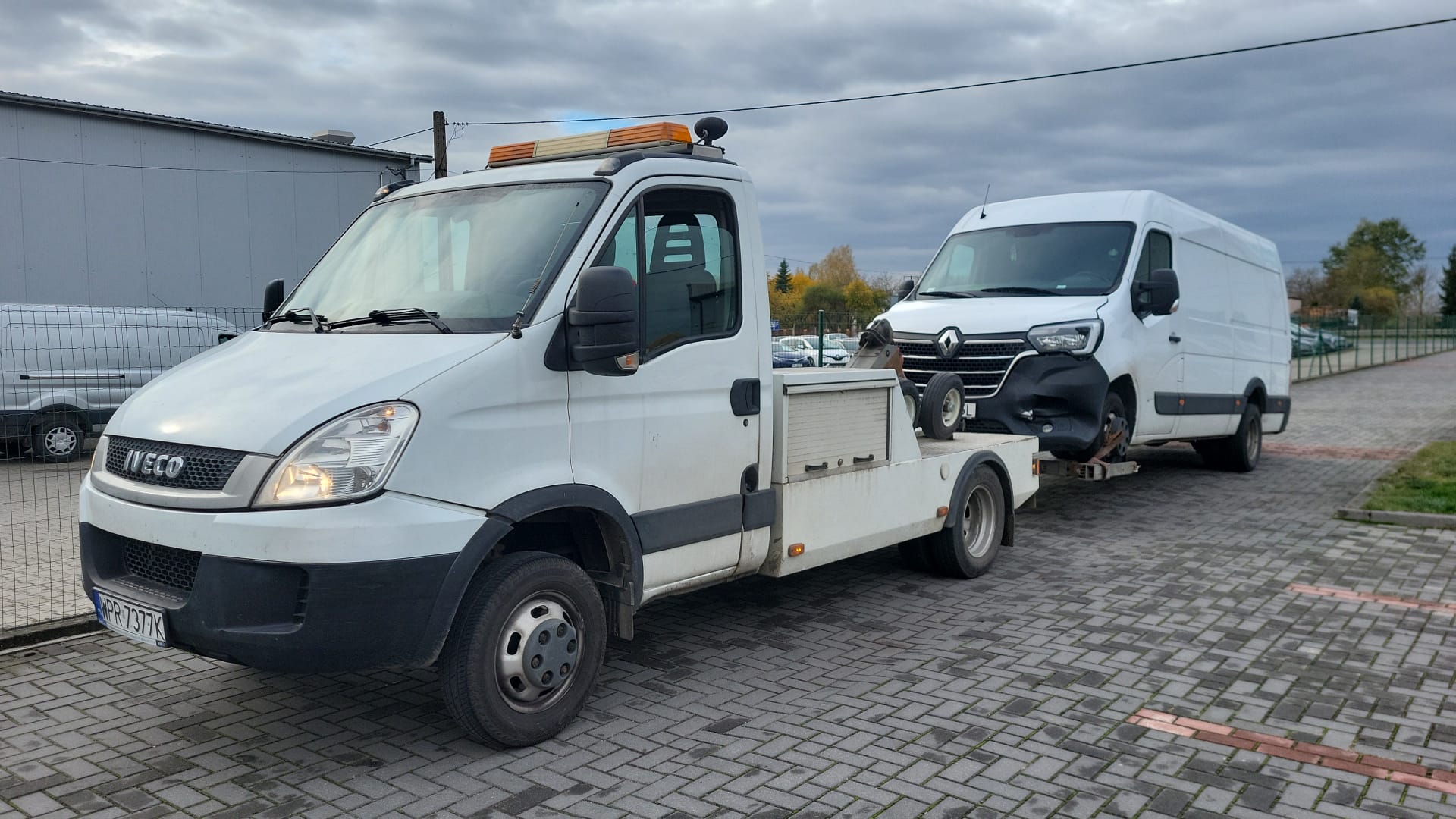 tanie golowanie urzut